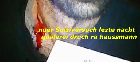 http://68.media.tumblr.com/eb9f8f5e5d7bf034e9cffd948d981b0e/tumblr_olvl1gvSHh1sofvubo10_500.jpg